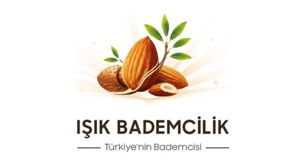 Işık Bademcilik